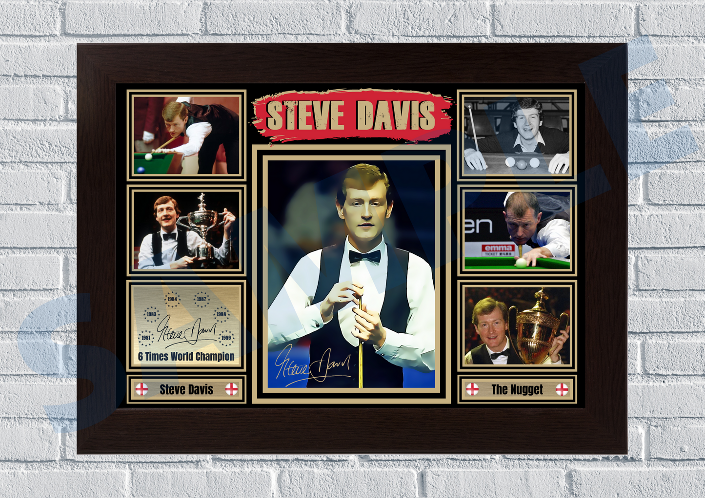 Steve Davis (Snooker) #15 - Collectible/Memorabilia/Print signed