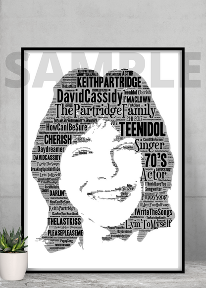 David Cassidy Pop Art Typography Collectable/Gift/Music Memorabilia