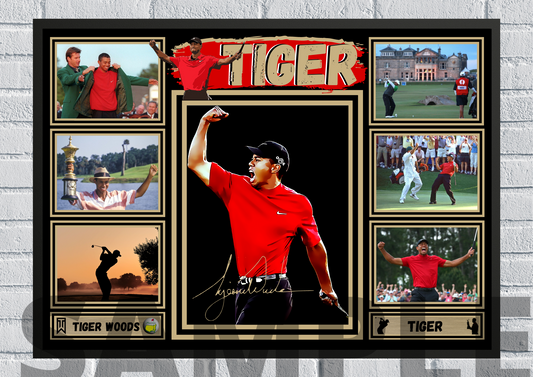 Tiger Woods (Golf) - Collectible/Memorabilia/Print signed